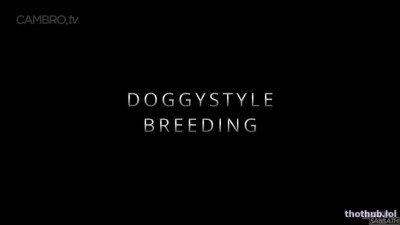 doggystyle breeding sloansmoans