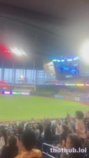 marlins