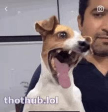 OnlyFans leaked lolll on HDthot