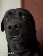 OnlyFans leaked funny on HDthot