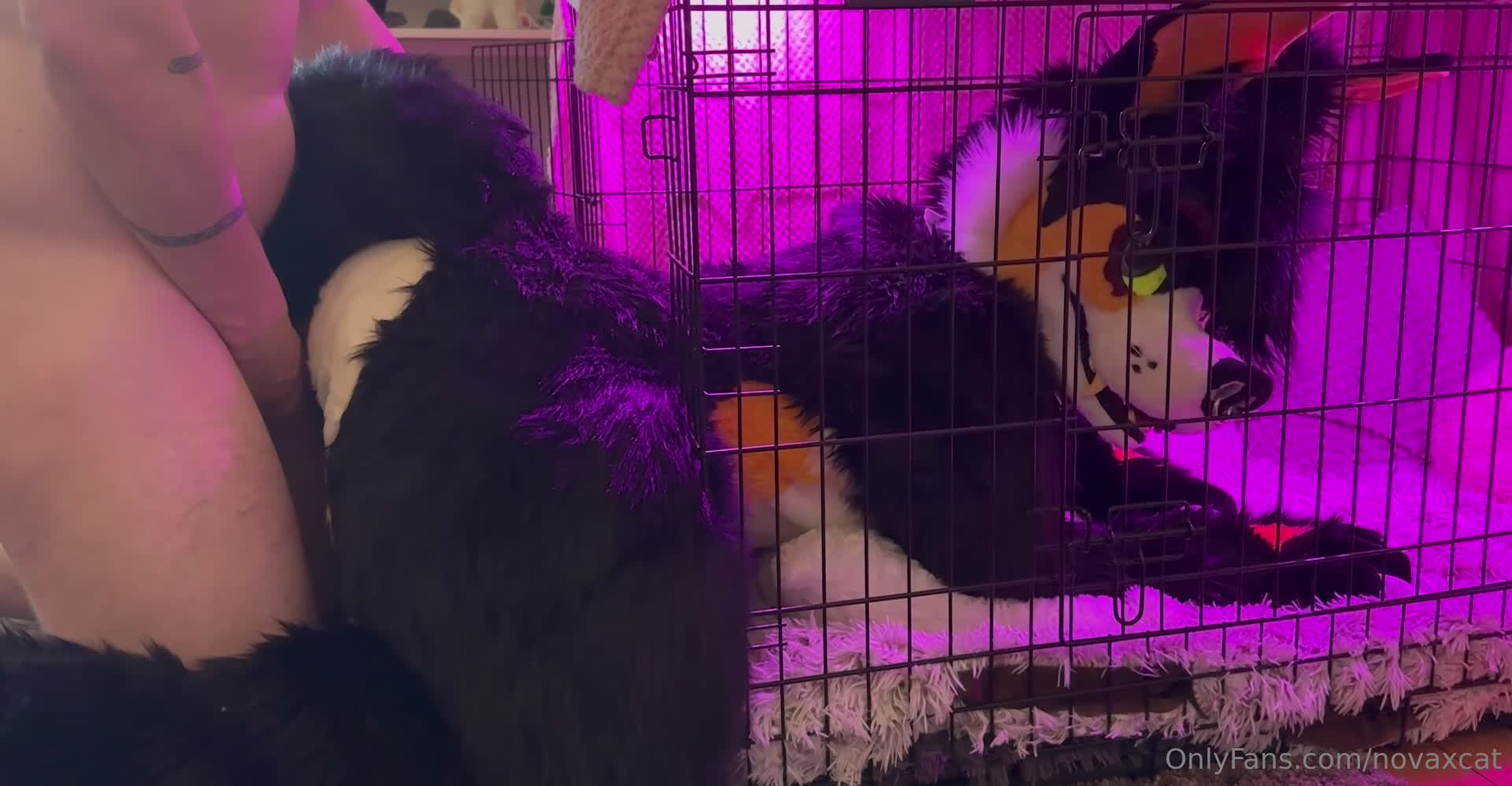 Novaxcat - Having fun in my fullsuit being put in my place like a good ..