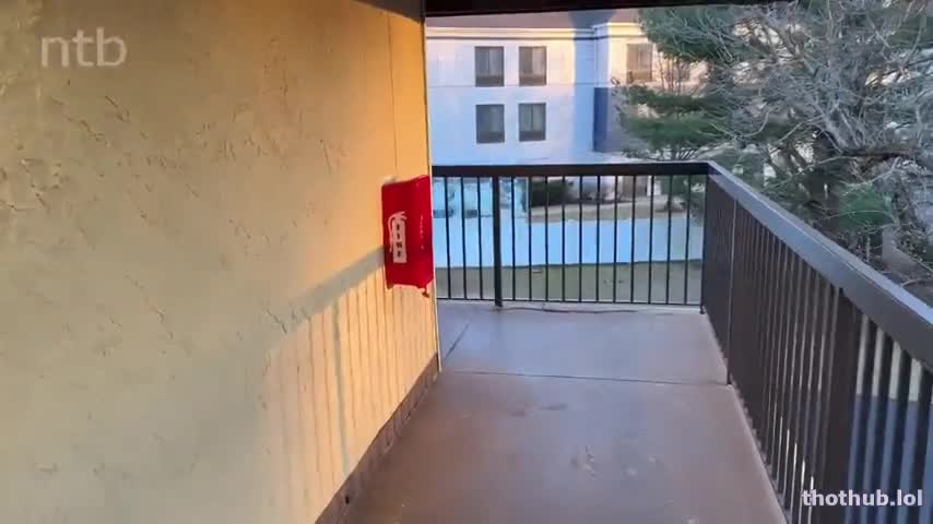 theaspenrose
