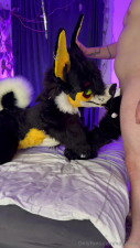 novaxcat OnlyFans leaked Novaxcat - The only way to shut a good mutt up- put a cock down her thr.. on HDthot