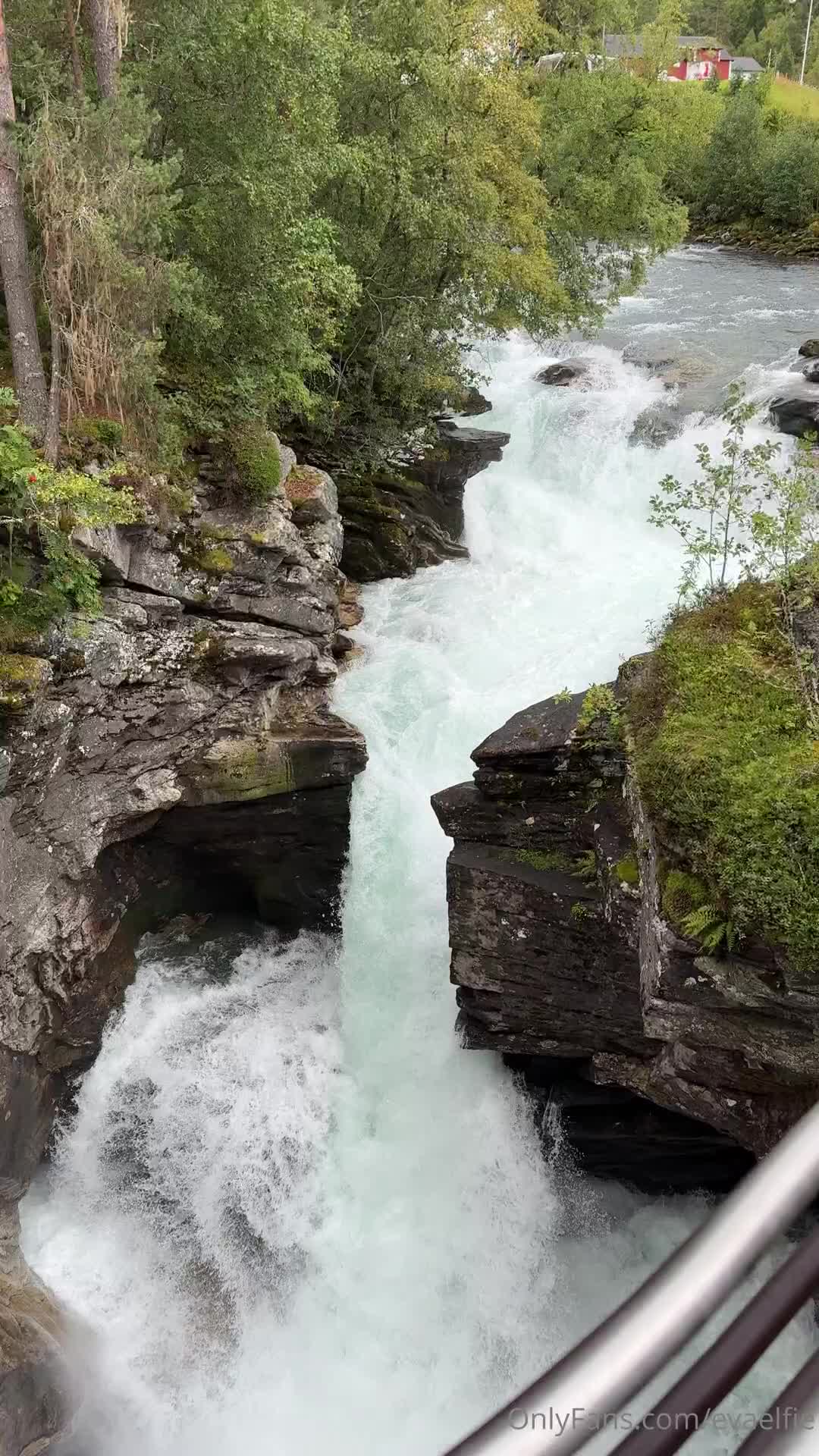 Evaelfie - Nature's masterpiece right here in Norway! Who needs a filt..