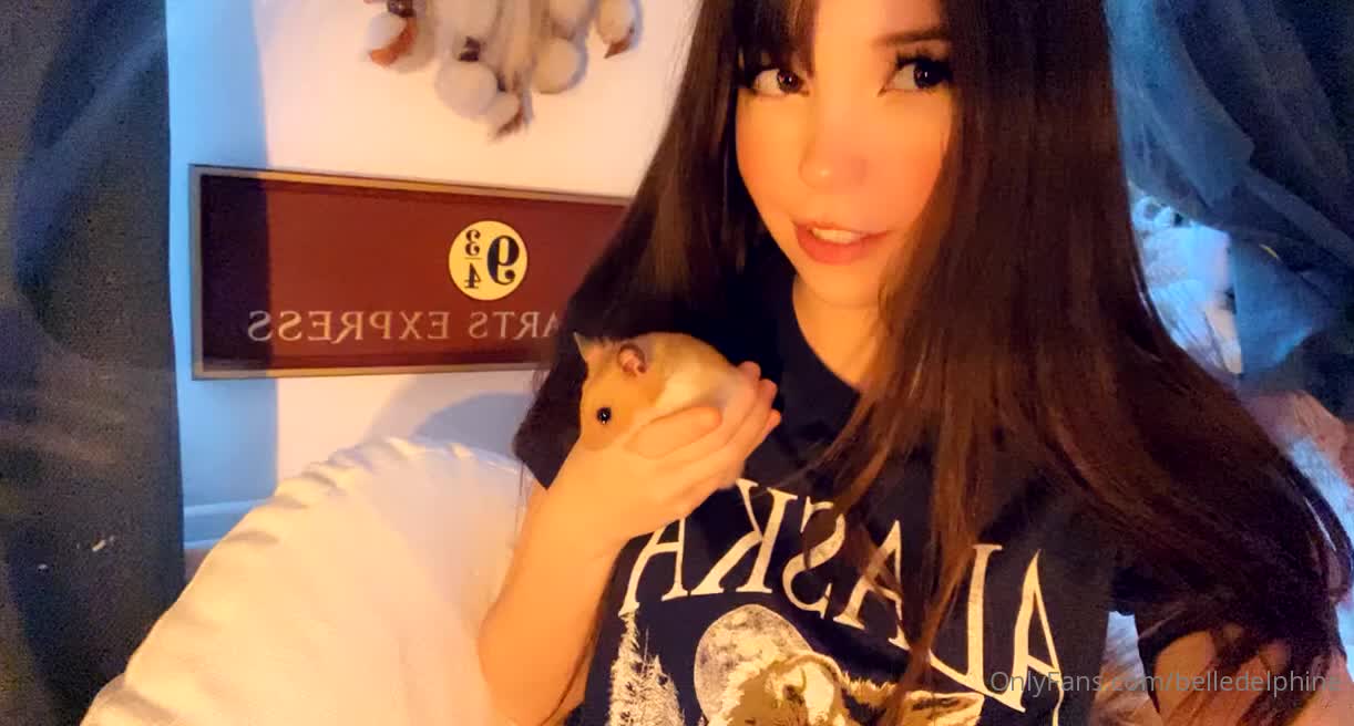 Belledelphine - Also forgot to mention in my diary that my hamster jingle tu..