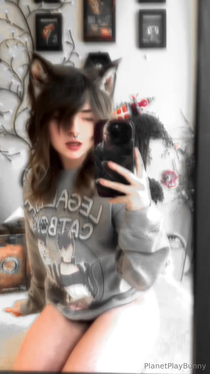 Planetplaybunny - Cat Boy shenanigans