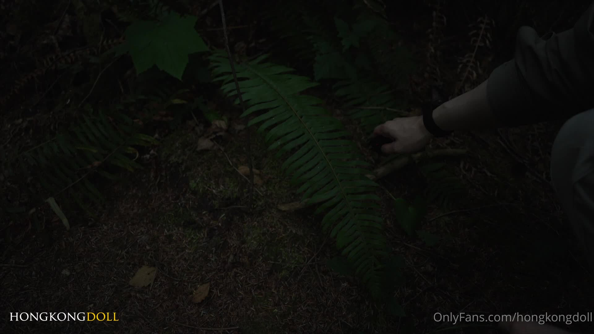 Hongkongdoll - 森林 - 第零集 
Woods - Episode 0 

「相遇」
「Reunion」

The girl who l..