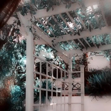 hitomi_official OnlyFans leaked Hitomi_official - Video-LA shoot off shot:) on HDthot