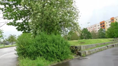 OnlyFans leaked Alex Swizz German street meat on HDthot