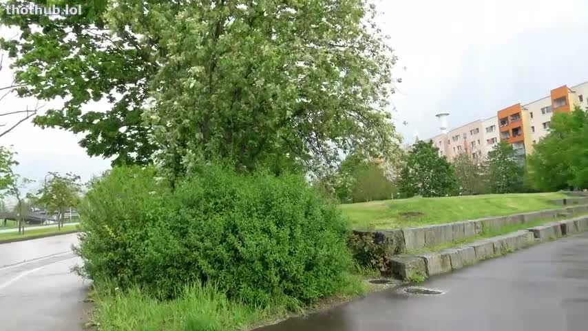 Alex Swizz German street meat