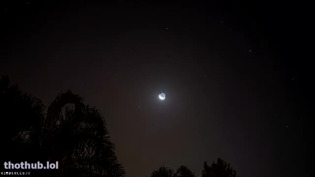 close encounters of the taboo kind kimberleyjx