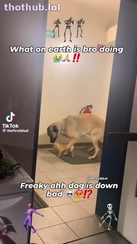 OnlyFans leaked Funny video hope you laugh on HDthot