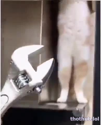 Ahjaponesa OnlyFans leaked wrench in Toronto on HDthot